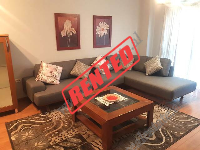 Two bedroom apartment for rent in Themistokli Germenji Street in Tirana Albania (TRR-716-39K)